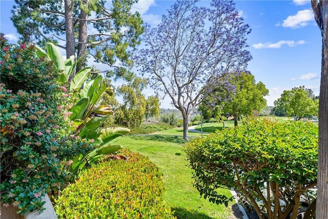 3 Fleurance St, Laguna Niguel, CA 92677 - view of green lawn