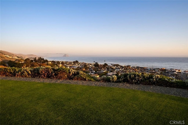1000 Park Ave, Cayucos, CA 93430 - photo 52