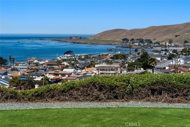 1000 Park Ave, Cayucos, CA 93430 - photo 36