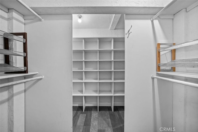 1000 Park Ave, Cayucos, CA 93430 - spacious closet with wood finished floors
