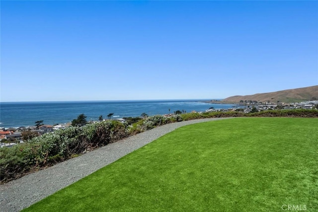 1000 Park Ave, Cayucos, CA 93430 - photo 26