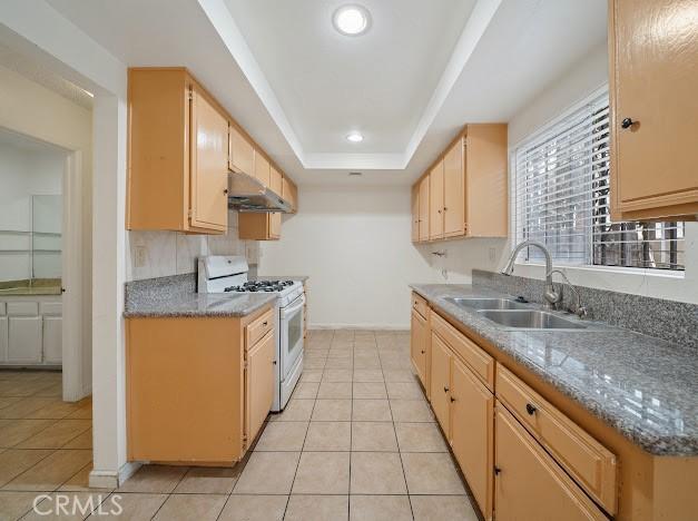 4177 Walnut Grove Ave, Rosemead, CA 91770 - kitchen with white gas range, a sink, under cabinet range hood, a tray ceiling, and baseboards