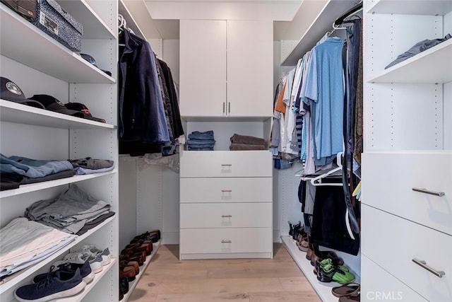 622 1st Pl, Hermosa Beach, CA 90254 - spacious closet with light wood-style flooring