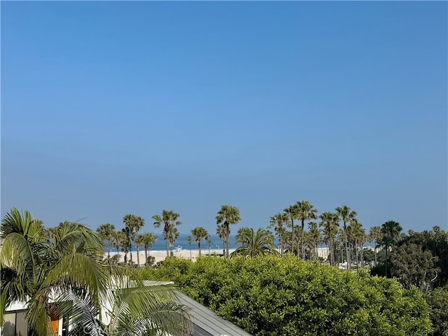 2910 Neilson Way Unit 503, Santa Monica, CA 90405 - photo 9
