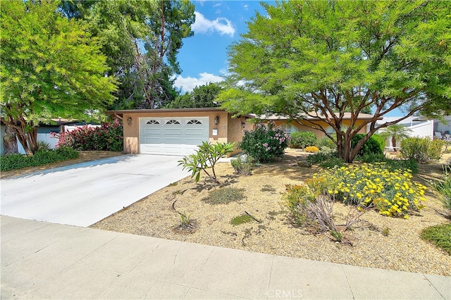 2993 Priscilla St, Riverside, CA 92506 - photo 1