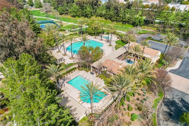 43500 Corte Barbaste, Temecula, CA 92592 - aerial view of a pool area and a tree filled landscape