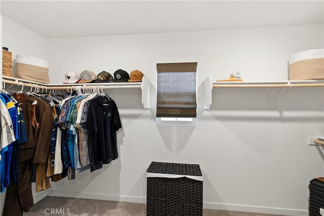 28341 Heather Green Way, Menifee, CA 92584 - spacious closet with carpet floors