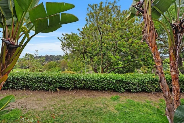 30902 Clubhouse Dr Unit 28C, Laguna Niguel, CA 92677 - view of yard