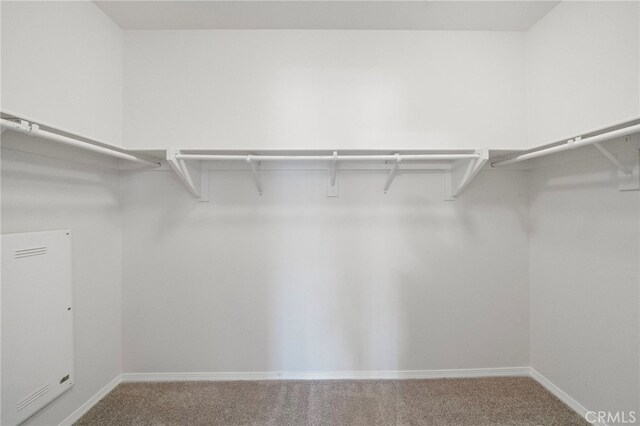 61 Silverado, Irvine, CA 92618 - walk in closet featuring carpet flooring