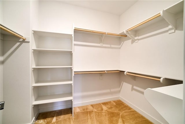 12392 Sandy Ct, Whittier, CA 90602 - walk in closet featuring carpet flooring