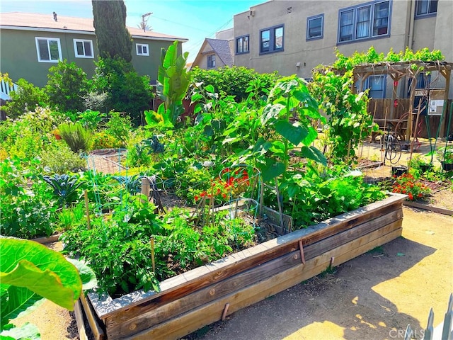 645 Chestnut Ave Unit 202, Long Beach, CA 90802 - exterior view of a vegetable garden