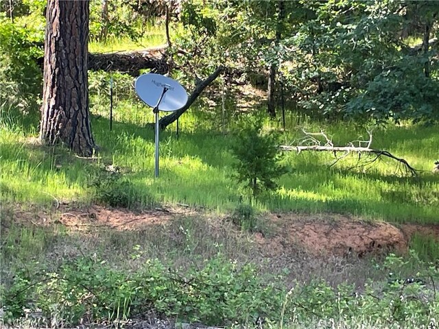 6715 Hupp Coutolenc Rd, Magalia, CA 95954 - photo 8