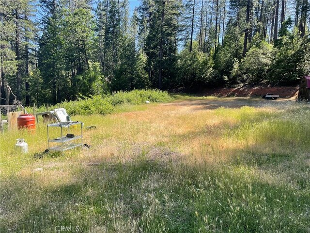 6715 Hupp Coutolenc Rd, Magalia, CA 95954 - photo 10