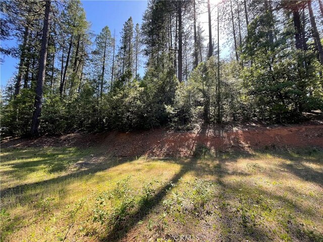 6715 Hupp Coutolenc Rd, Magalia, CA 95954 - photo 5