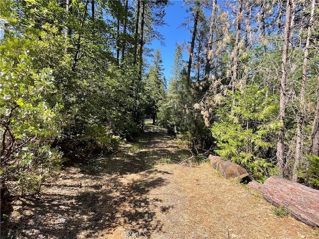 6715 Hupp Coutolenc Rd, Magalia, CA 95954 - photo 1