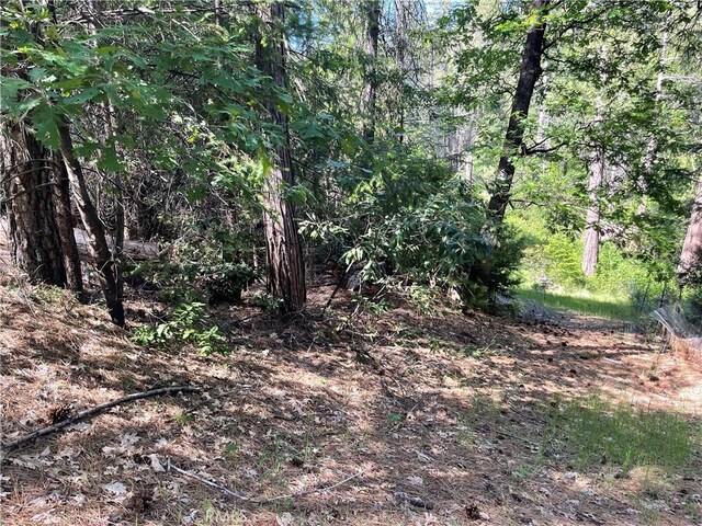 6715 Hupp Coutolenc Rd, Magalia, CA 95954 - photo 18