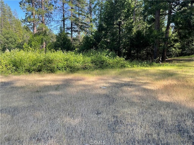 6715 Hupp Coutolenc Rd, Magalia, CA 95954 - photo 14