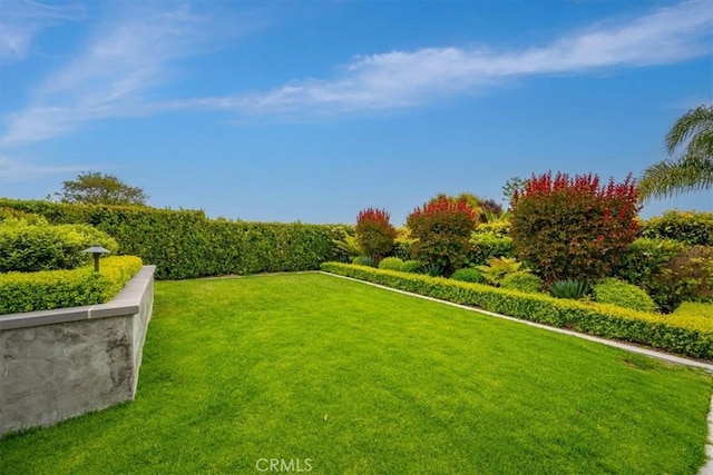 233 Elaine Way, Pismo Beach, CA 93449 - view of grassy yard
