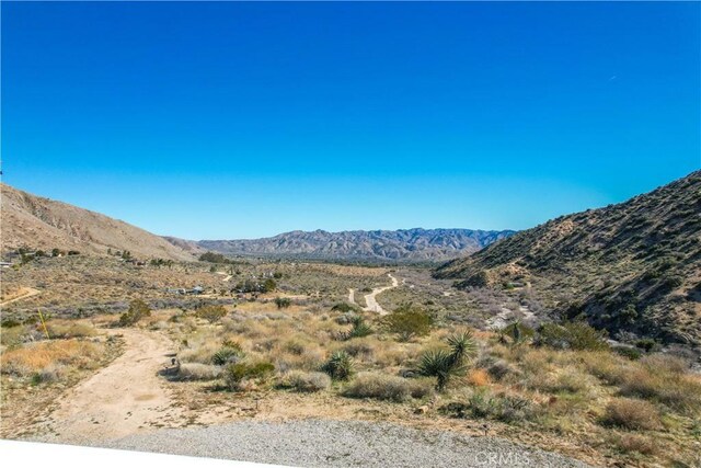 49490 Big Morongo Canyon Rd, Morongo Valley, CA 92256 - view of mountain background