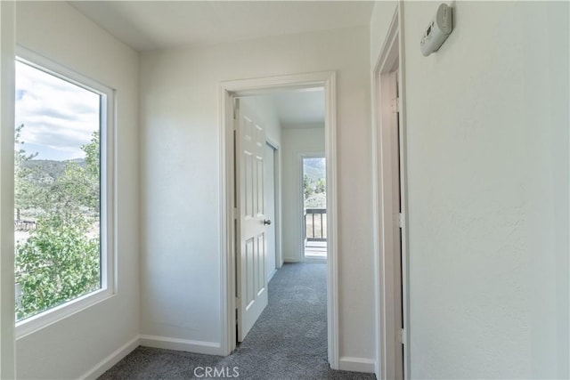 2100 1st Ln, Big Bear City, CA 92314 - hallway featuring healthy amount of natural light, carpet floors, and baseboards