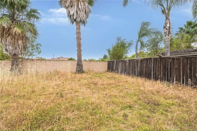 1065 Vaquero Cir, Oxnard, CA 93030 - view of yard
