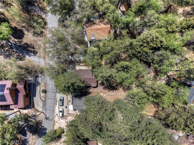 33294 Wild Rose Dr, Green Valley Lake, CA 92341 - aerial overview of property's location