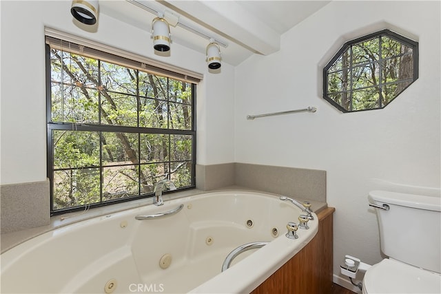 33294 Wild Rose Dr, Green Valley Lake, CA 92341 - bathroom with a jetted tub and toilet