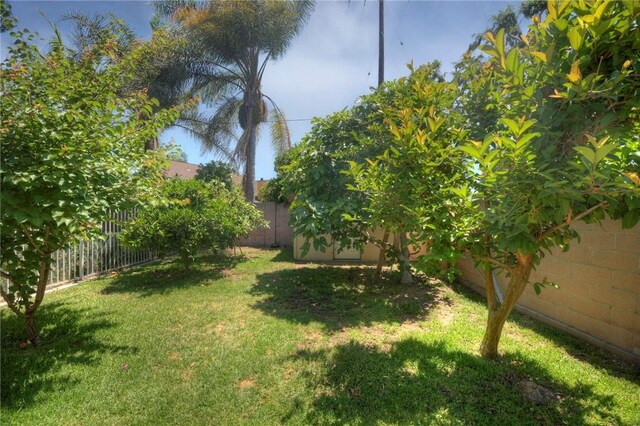 1336 W N St, Anaheim, CA 92801 - photo 35