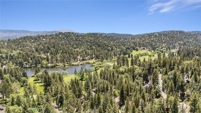 765 Del Norte Ln, Lake Arrowhead, CA 92352 - photo 41