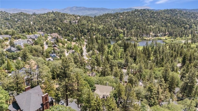 765 Del Norte Ln, Lake Arrowhead, CA 92352 - photo 43
