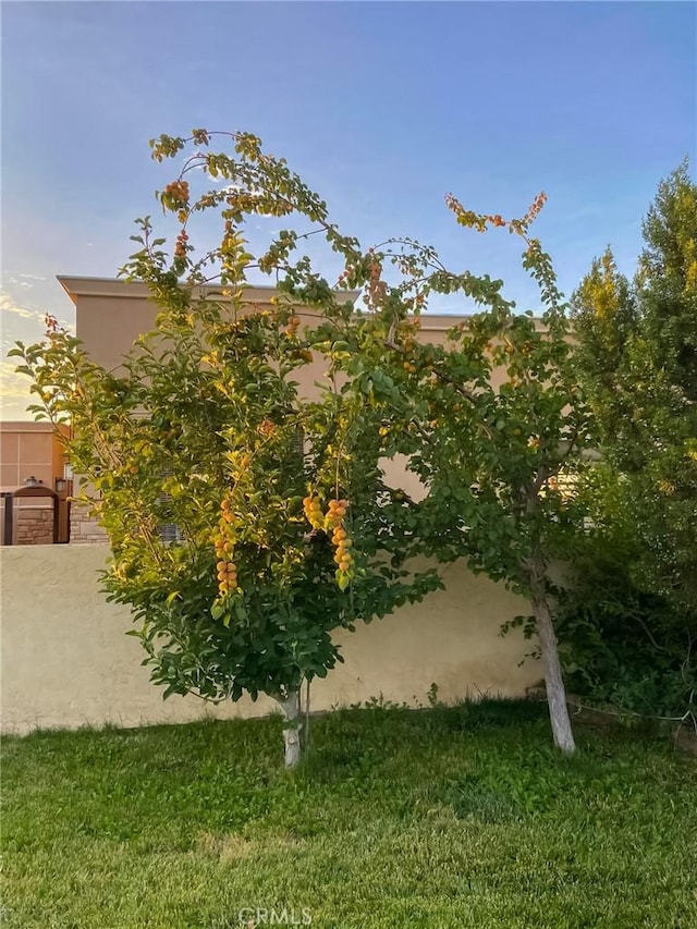 42722 20th St W, Lancaster, CA 93534 - photo 68