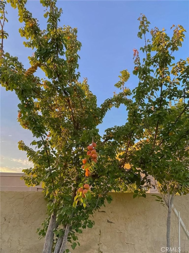 42722 20th St W, Lancaster, CA 93534 - view of yard at dusk