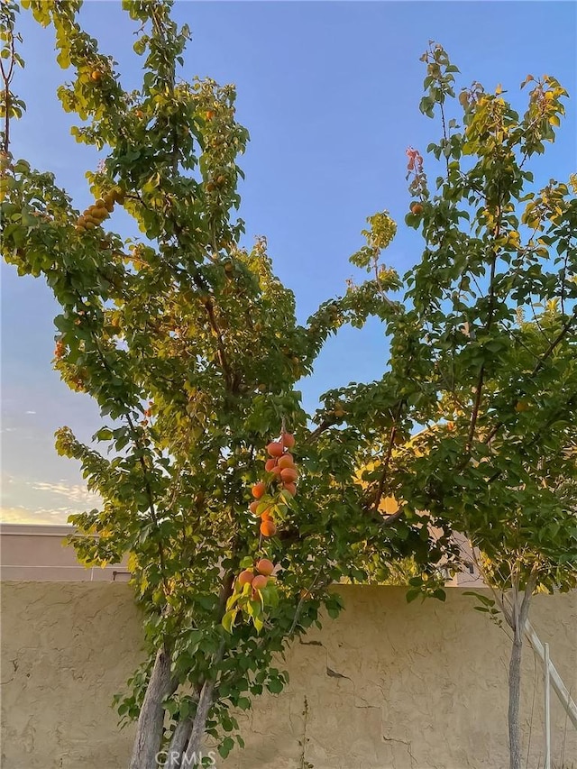 42722 20th St W, Lancaster, CA 93534 - photo 70