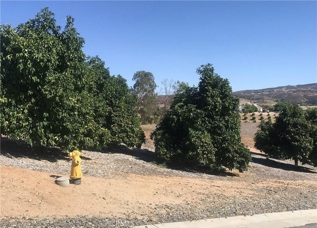 38538 Martin Ranch Rd, Temecula, CA 92592 - photo 4