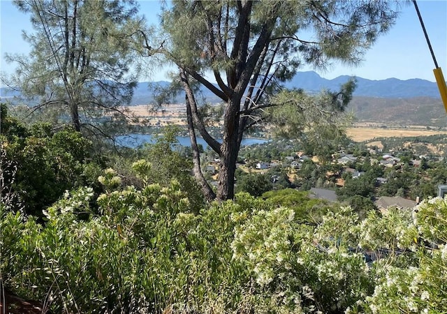16086 Eagle Rock Rd, Hidden Valley Lake, CA 95467 - photo 7