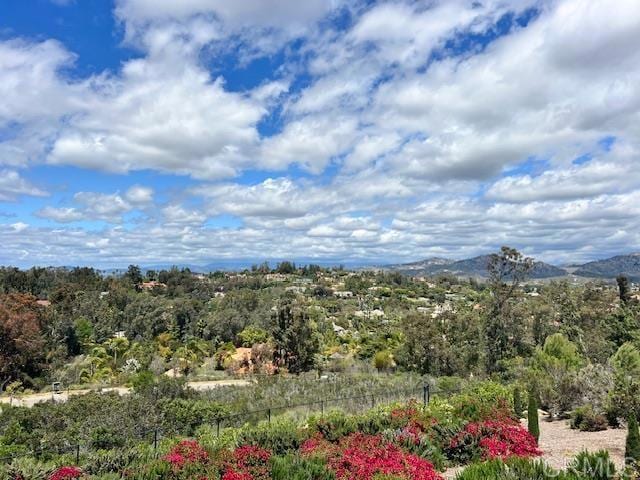 13495 Del Poniente Rd, Poway, CA 92064 - photo 55
