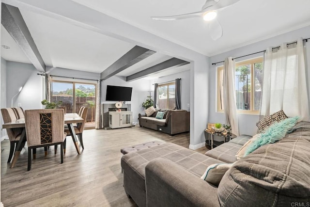 1380 E Washington Ave Unit 2, El Cajon, CA 92019 - living room featuring ceiling fan, light wood-style flooring, healthy amount of natural light, and beam ceiling