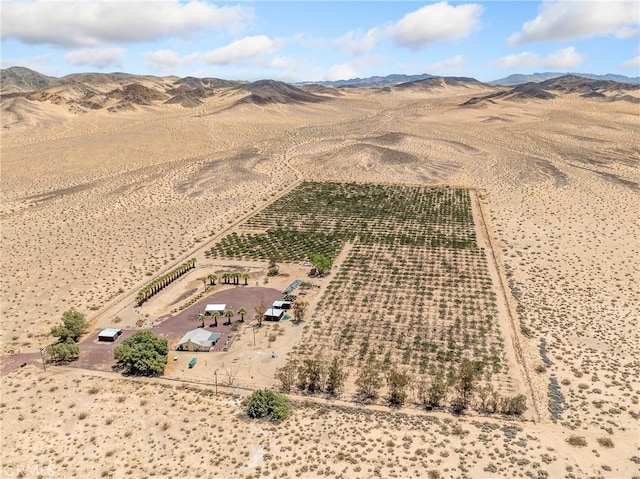 49333 Riverside Rd, Newberry Springs, CA 92365 - photo 3