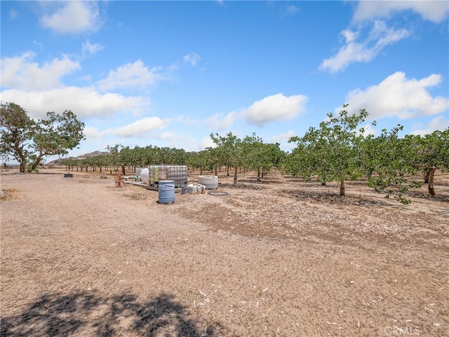 49333 Riverside Rd, Newberry Springs, CA 92365 - photo 19