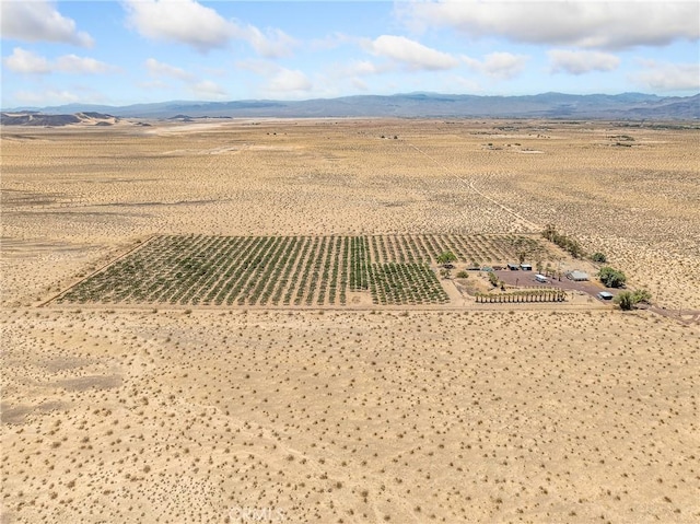 49333 Riverside Rd, Newberry Springs, CA 92365 - photo 6