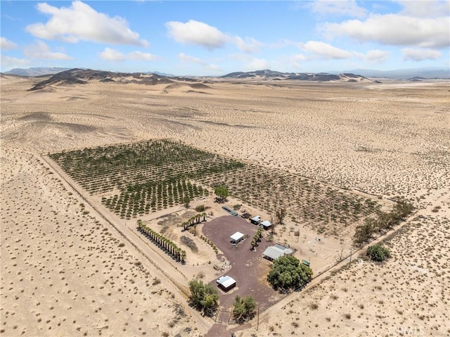 49333 Riverside Rd, Newberry Springs, CA 92365 - photo 2