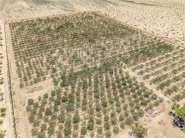49333 Riverside Rd, Newberry Springs, CA 92365 - aerial view of property and surrounding area featuring rural landscape