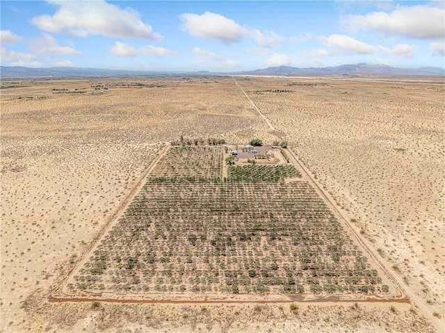 49333 Riverside Rd, Newberry Springs, CA 92365 - photo 5