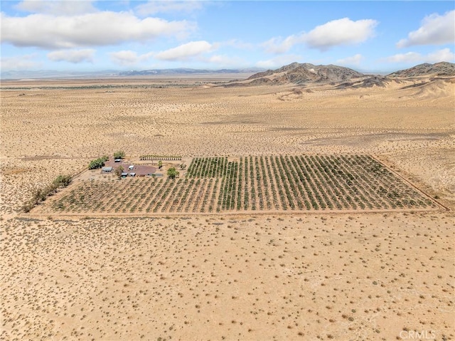 49333 Riverside Rd, Newberry Springs, CA 92365 - photo 4