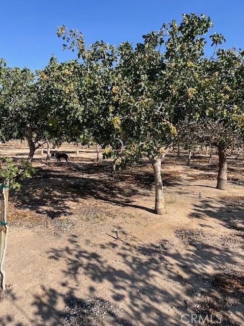 49333 Riverside Rd, Newberry Springs, CA 92365 - photo 61