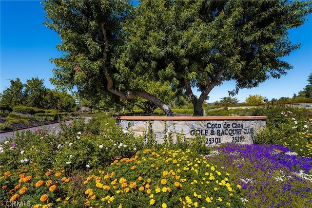 32022 Via Pavo Real, Coto De Caza, CA 92679 - view of community sign