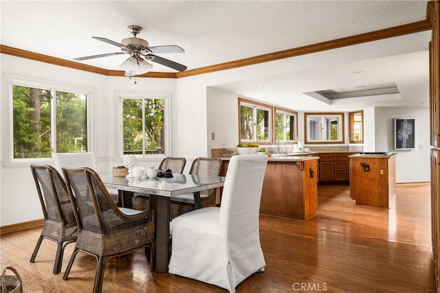 32022 Via Pavo Real, Coto De Caza, CA 92679 - dining space featuring hardwood / wood-style floors, plenty of natural light, crown molding, ceiling fan, and baseboards