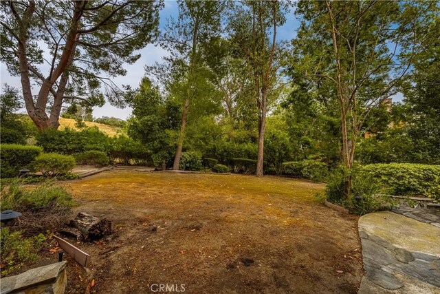 32022 Via Pavo Real, Coto De Caza, CA 92679 - view of yard