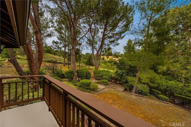 32022 Via Pavo Real, Coto De Caza, CA 92679 - view of balcony