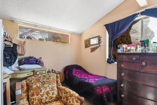 150 Richeth Rd, San Diego, CA 92114 - bedroom with a textured ceiling and vaulted ceiling